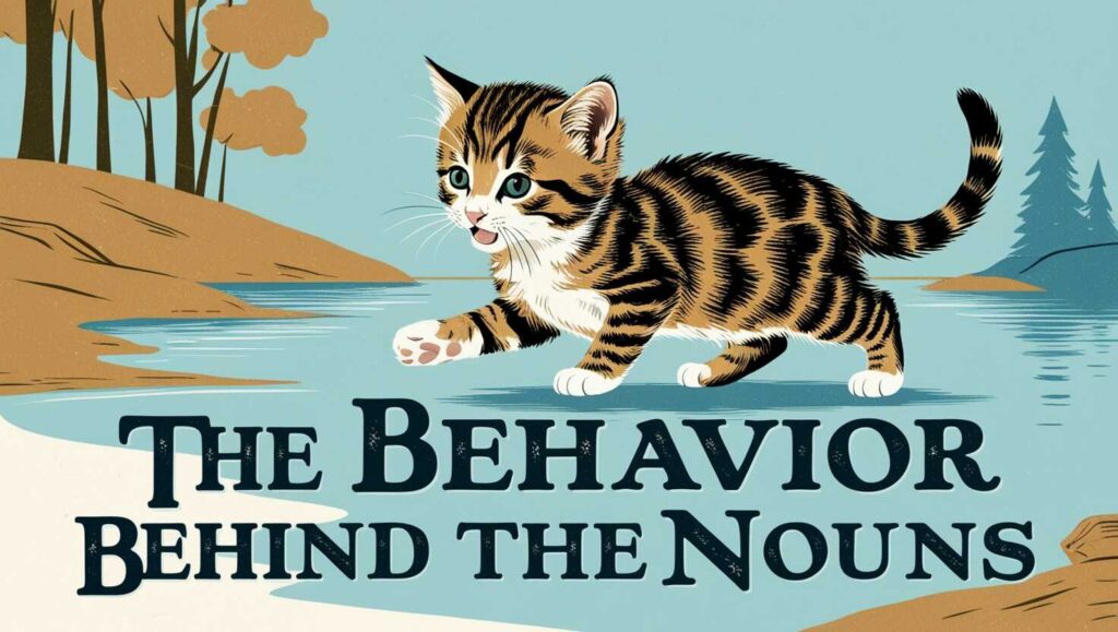 the-behavior-behind-the-nouns