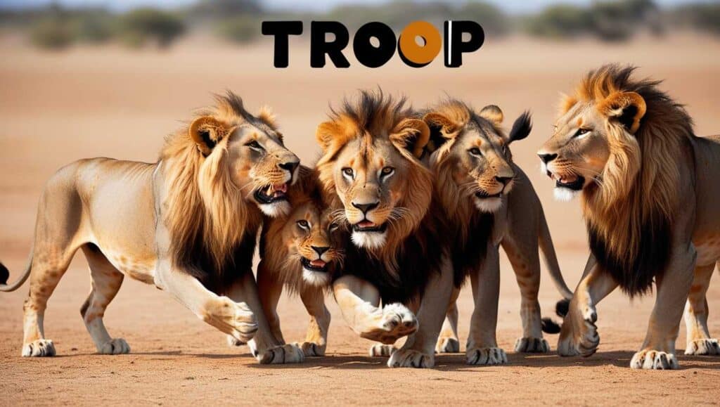 troop