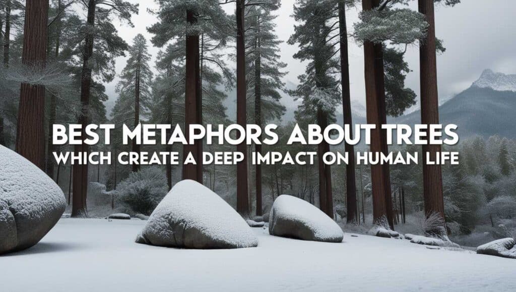 best-metaphors-about-trees-which- create-a-deep-impact-on-human- life