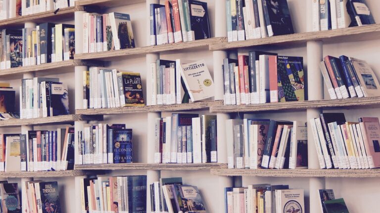 Keeping Your Nonprofit’s Books in Order Nonprofit's Books