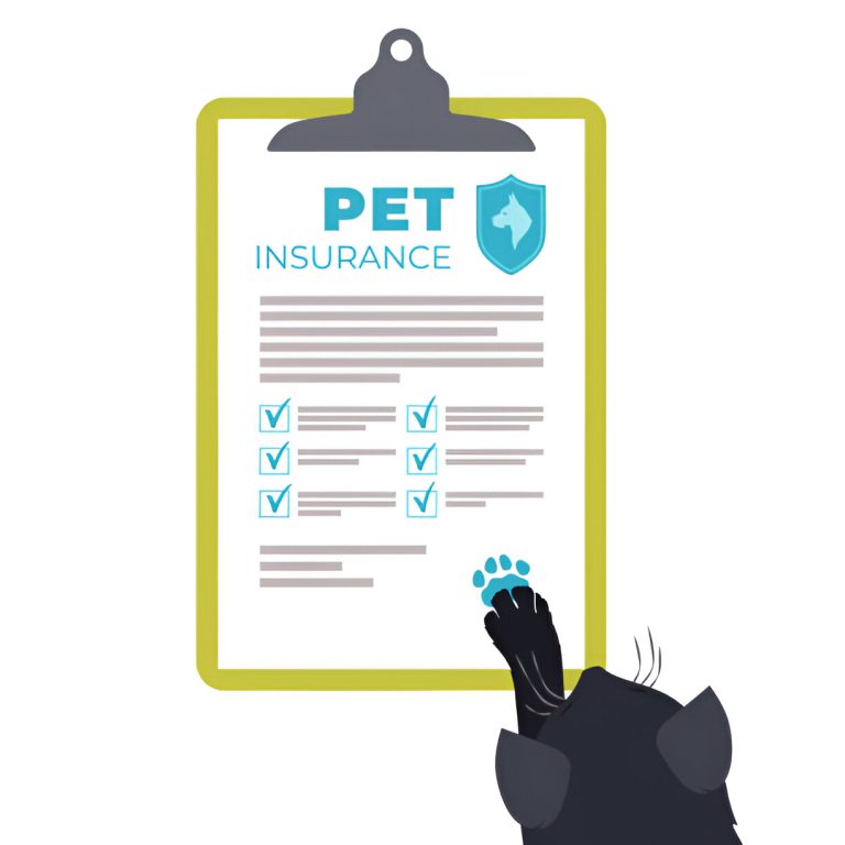 The Ultimate Guide to Pet Business Insurance: Protecting Your Pets and Your Business Guide to Pet Business Insurance