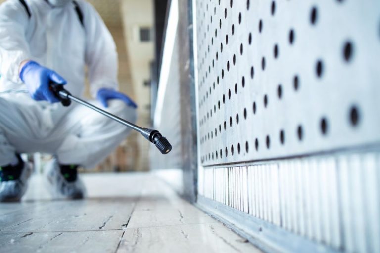 Why Seasonal Pest Control Is a Must for Every Homeowner Seasonal Pest Control